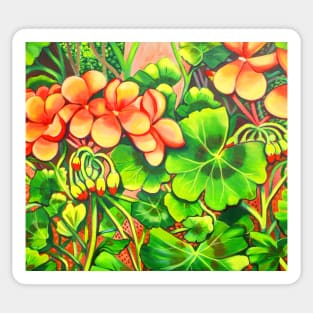 Geraniums Sticker